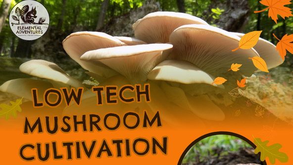 Low-Tech Mushroom Cultivation