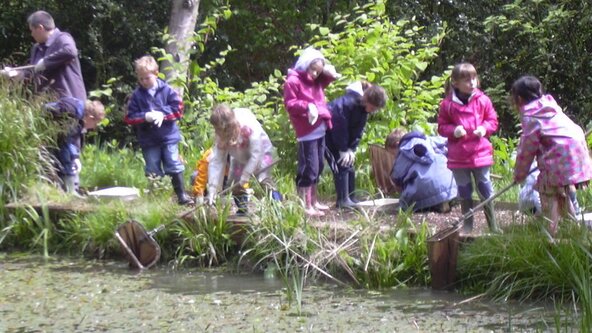 Museum Explorers - Pond dipping