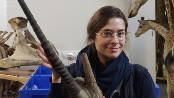 Centenary Talk: Serengeti to South Kensington