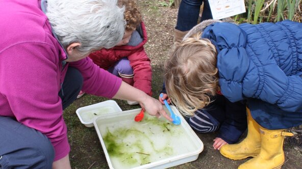 Early Years - Pond Dipping