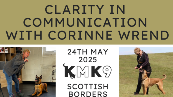 Clarity in Communication with Corinne Wrend 