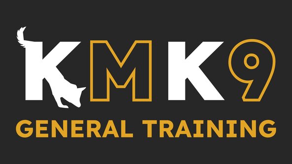 Loose Lead Walking & Recall Course