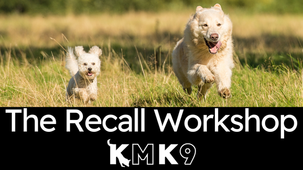 Recall Workshop