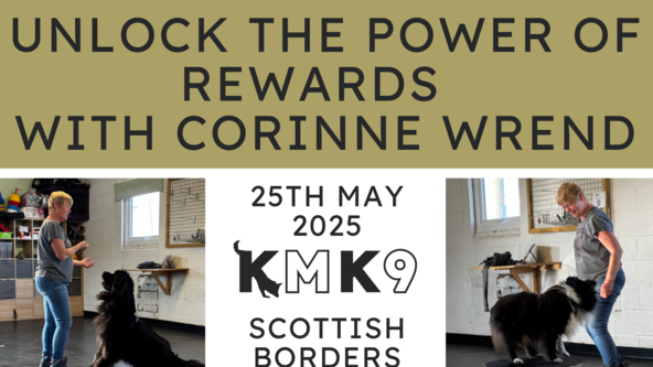 Unlock the Power of Rewards with Corinne Wrend 