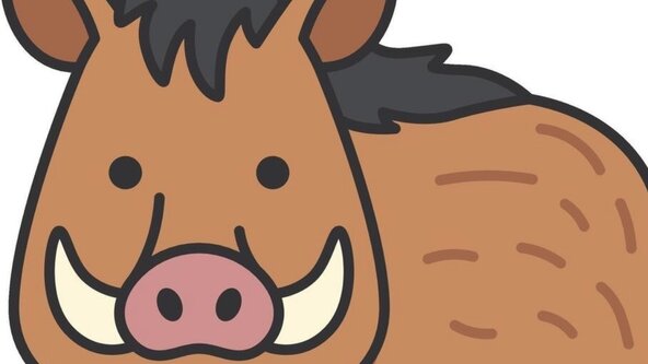 Be a Boar day! OCTOBER HALF TERM FUN!