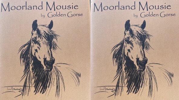 Dulverton Exmoor Literary Festival - Exmoor Ponies