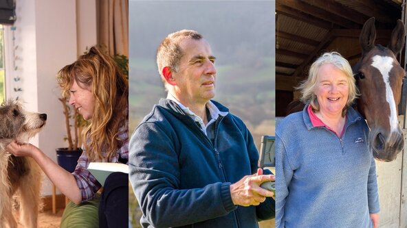 Dulverton Exmoor Literary Festival - The Art of Exmoor Magazine