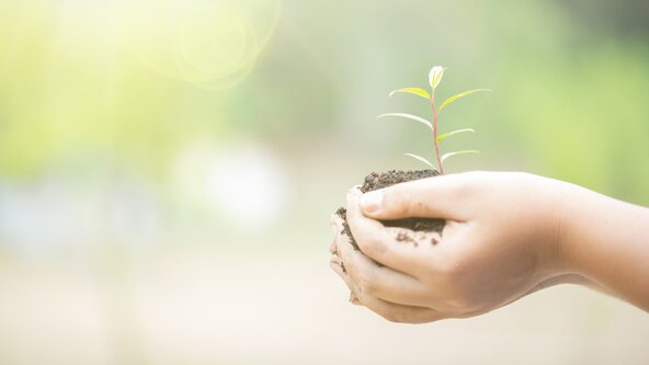 LITTLE SHOOTS -  Outdoor baby and Pre-school group- block 6