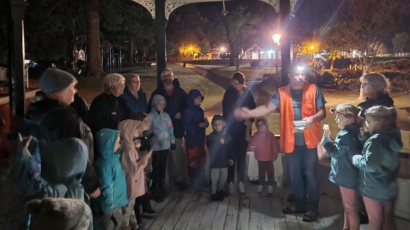 Twinkle, Twinkle Little Titiwai - Night Time in the Bush