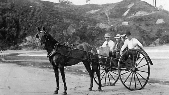 Waihi Beach North End Mining History