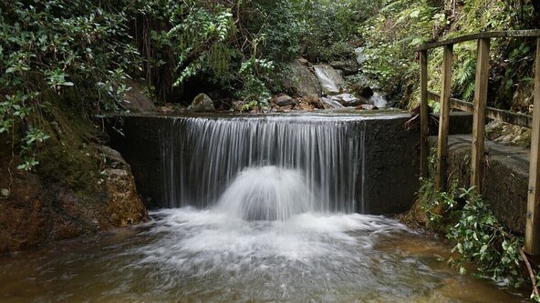  Tui Domain Track to Te Mara return