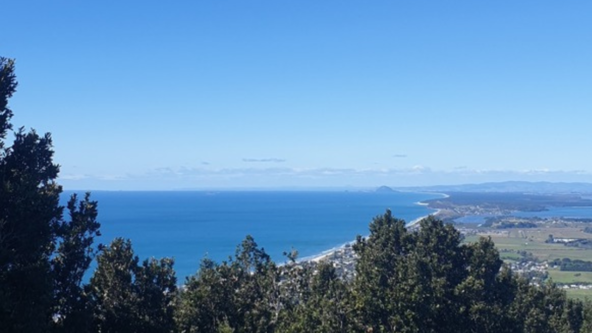 Waihi Beach Wires Loop Track