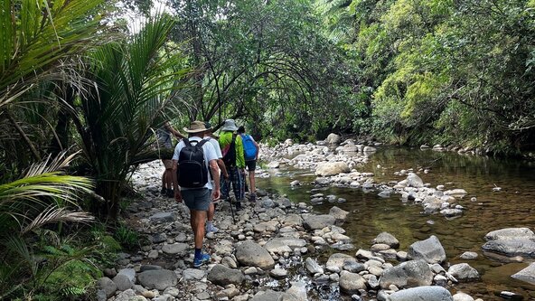 Waitekohekohe Flora and Fauna Walk and Talk