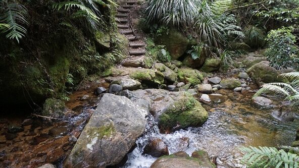 Dubbo 96 Track Loop Walk