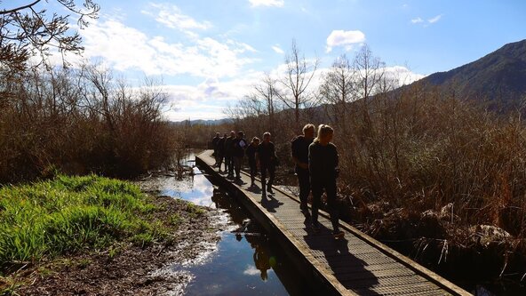 Howarth Memorial Wetlands walk and talk