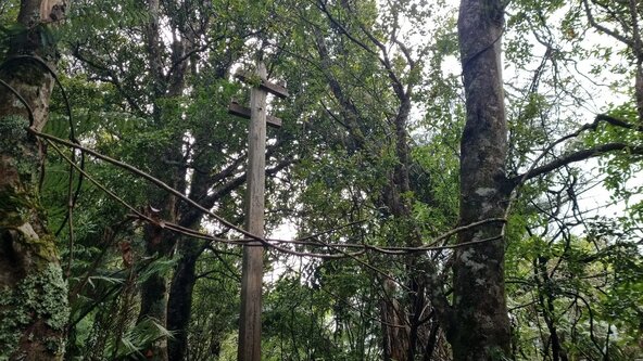 Maratoto Wires Track