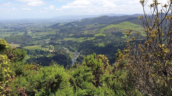 Mount Karangahake Summit Walk