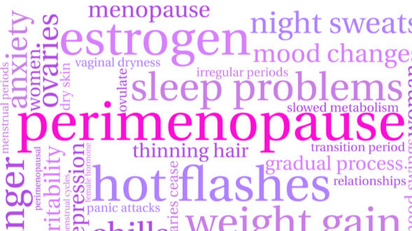 Understanding Menopause 