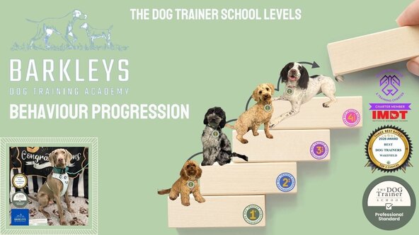 Behaviour Progression Course 