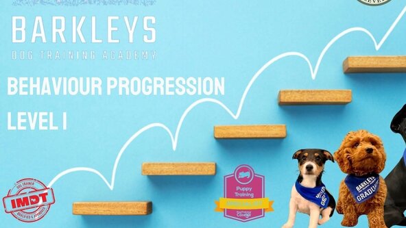Behaviour Progression Course 
