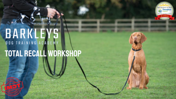 Total Recall Workshop - Wakefield