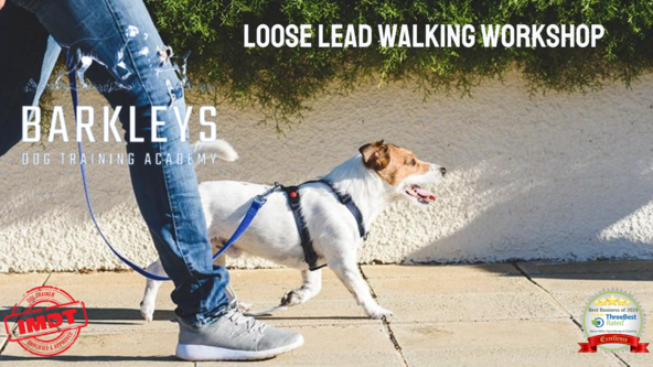 Loose Lead Workshop - Wakefield