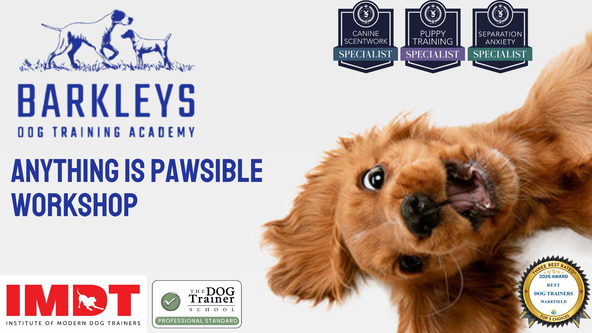 ✨ NEW - Anything Is PAWsible Workshop