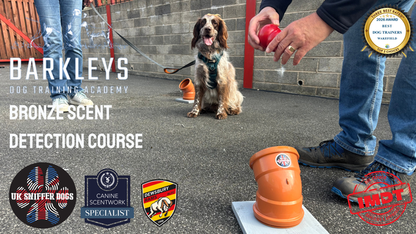 Bronze Scent Detection Course 