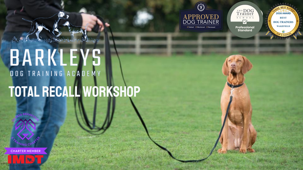 Total Recall Workshop - Wakefield