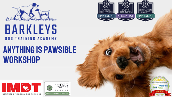 ✨ NEW - Anything Is PAWsible Workshop