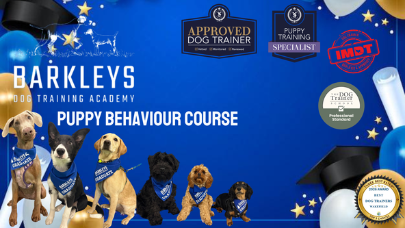 💙Puppy Behaviour Course - Wakefield