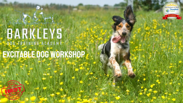 Excitable Dog Workshop - Wakefield
