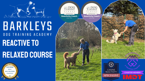 ✨Reactive To Relaxed Course - Wakefield