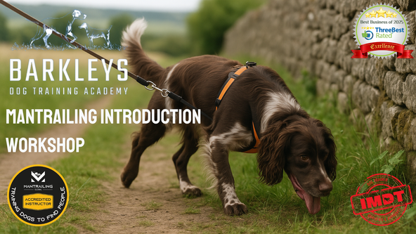 Mantrailing Introduction Workshop - Wakefield 