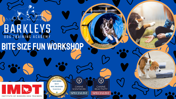 Bite Size Fun Workshop