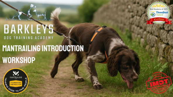 Mantrailing Introduction Workshop - Wakefield