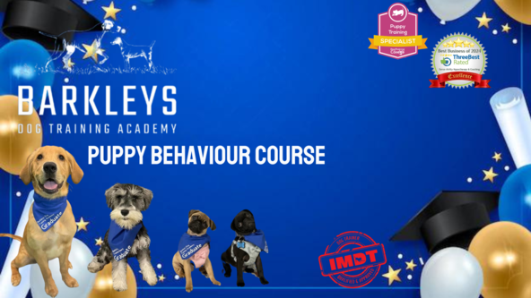 Puppy Behaviour Course - Wakefield