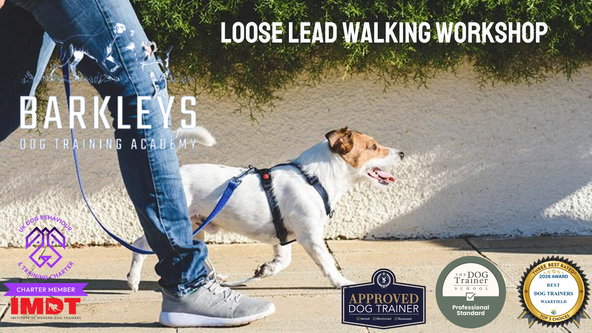 Loose Lead Workshop - Wakefield