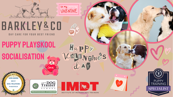 ❤️ Valentine’s Day Puppy Playskool - Saturday Socials 