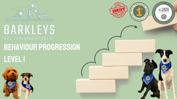 Behaviour Progression Course 