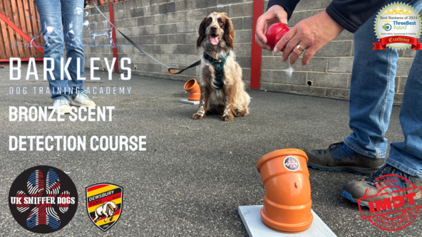 Bronze Scent Detection Course 