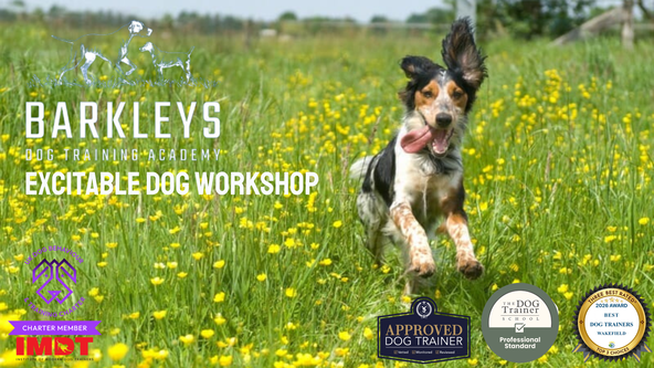 Excitable Dog Workshop - Wakefield