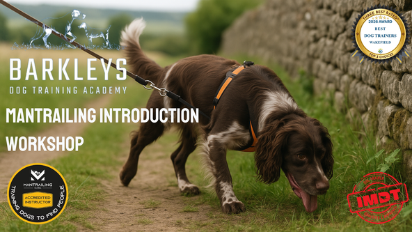 Mantrailing Introduction Workshop - Wakefield 