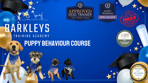Puppy Behaviour Course - Wakefield