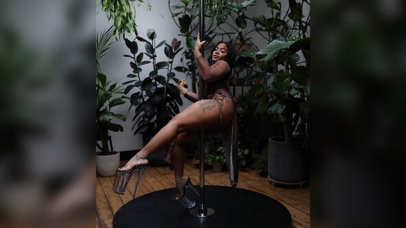 P.S. Pole - Monthly P.S. Intensive with Lauren Elise🦖