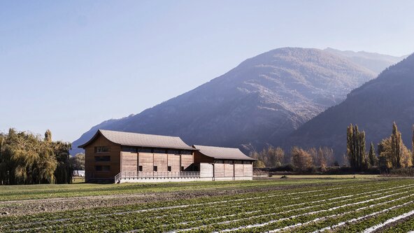 STAGE "Utiliser la Gravité & la Suspension"