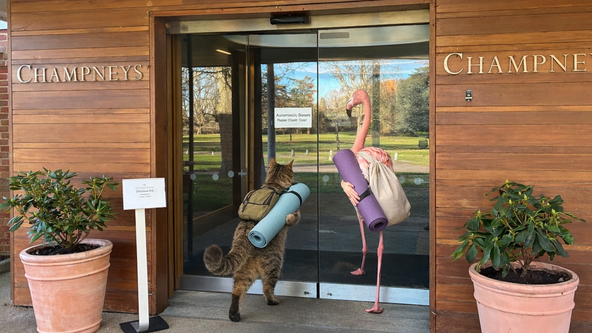 Champneys - Awaken your Summer Energy ☀️ 