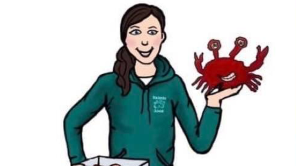 Rockpool School - marine workshop