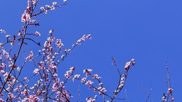 spring elemental yoga retreat 