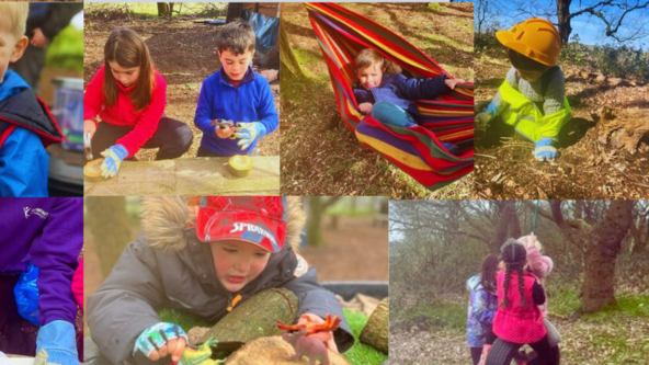 Summer Term Home Ed Sessions